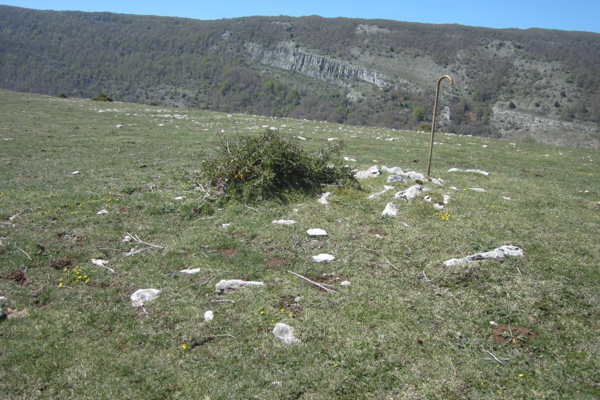 Túmulo Otsagarate 5 (Abril 2019)