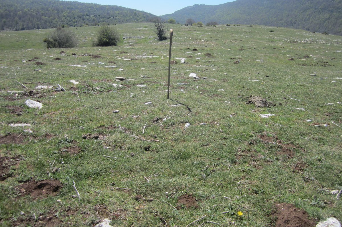 Túmulo Otsagarate 4 (Abril 2019)