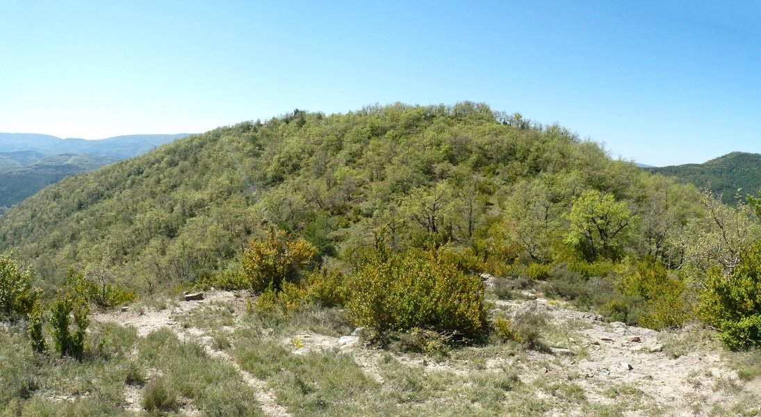 Paco Mayor, iparraldeko lepotik