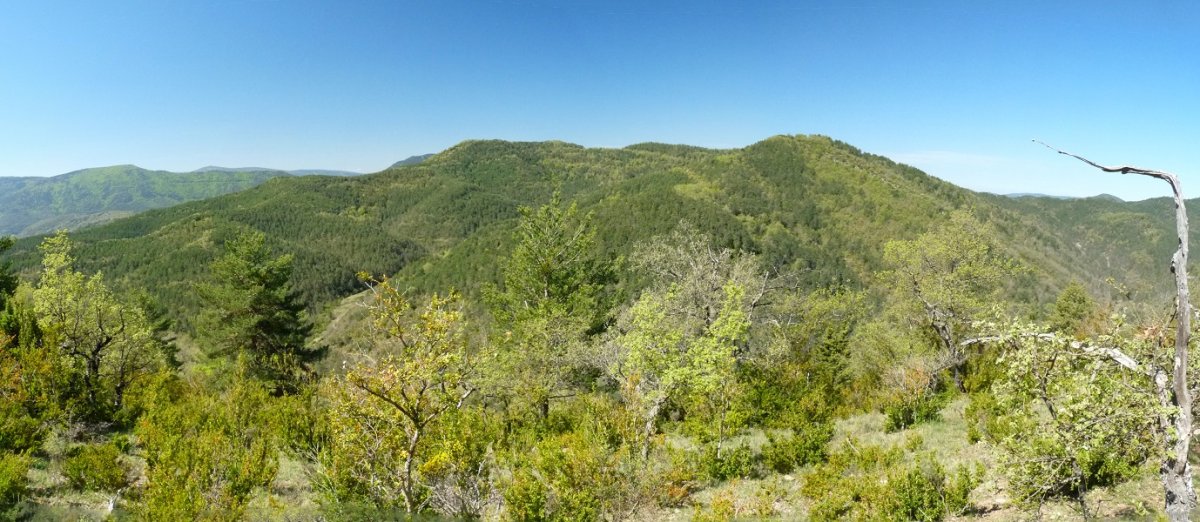 Eretako gainak ekialldetik