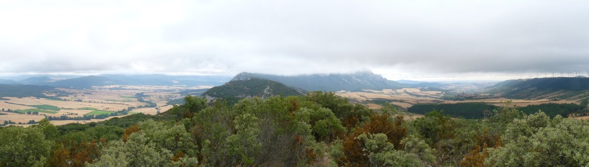 Ikuspegi zabalak -baina lainotuak- Gurugutik