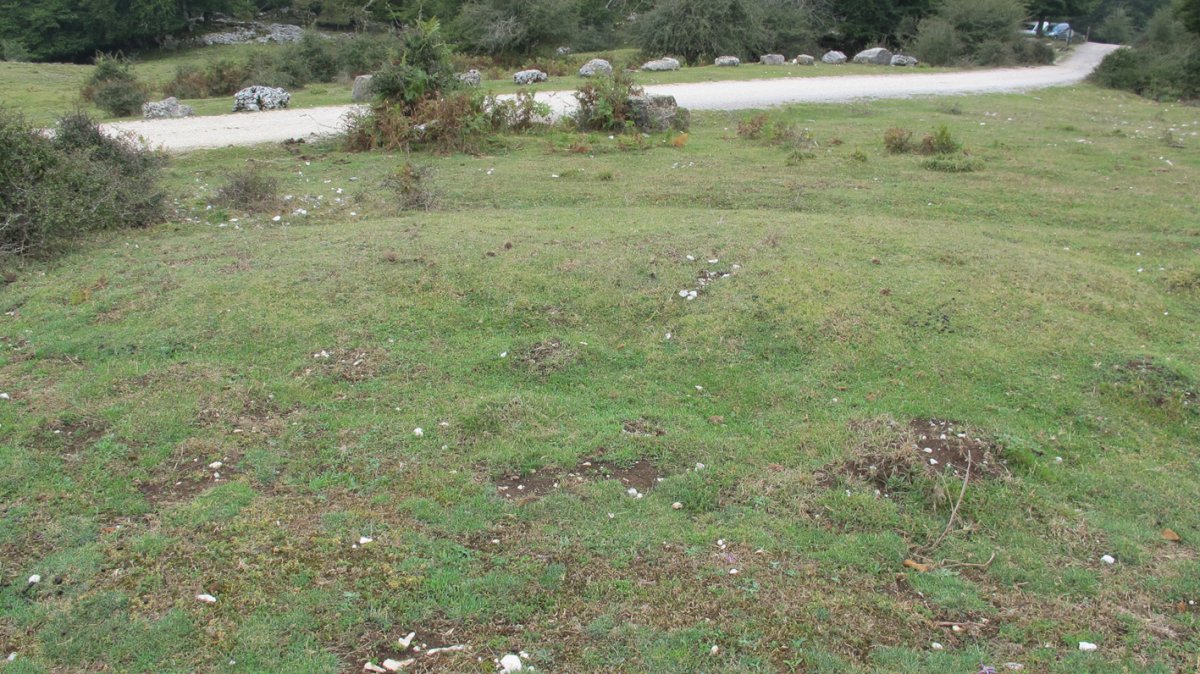 Tximista 4 etxola hondoa, Urbasa