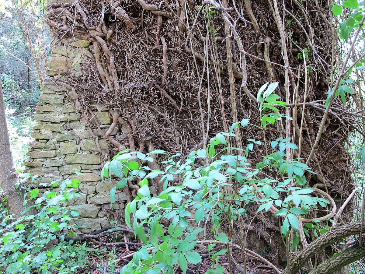 San Juan de la Penitencia ermitaren hondakinak, Gares