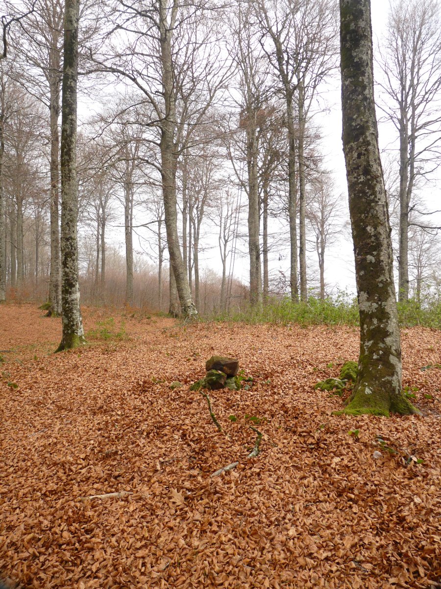 Ibirigaingo gailurra