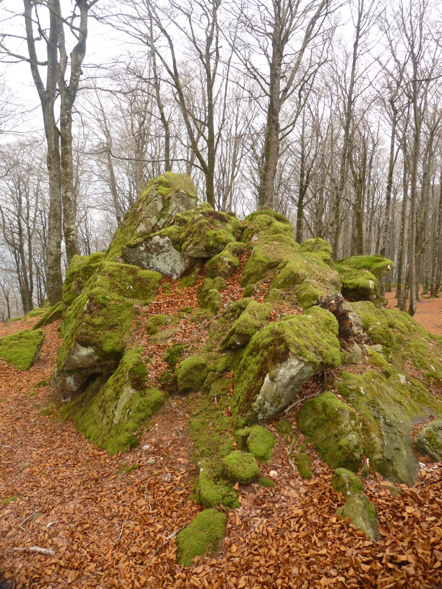 Sengaitzuko gailurra