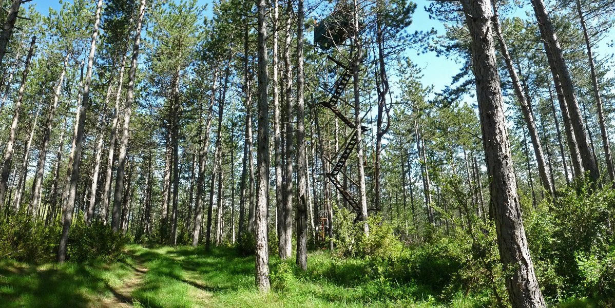 Ezpillaga hegoaldeko kota, 800 metrokoa