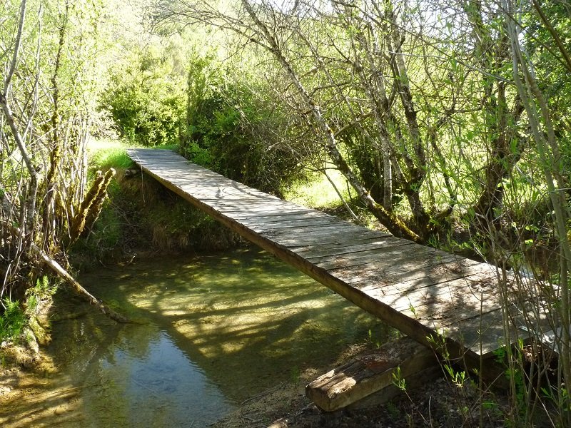 Zubitxoa, Zalba eta Zuntzarren arteko bidean