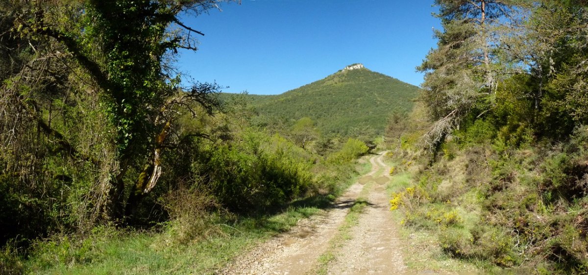 Txartxamendi, Siringoa sakaneko bidetik