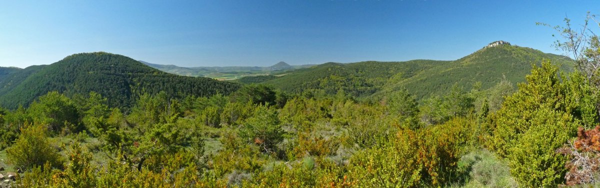 Arnaizpe eta Txartxamendi