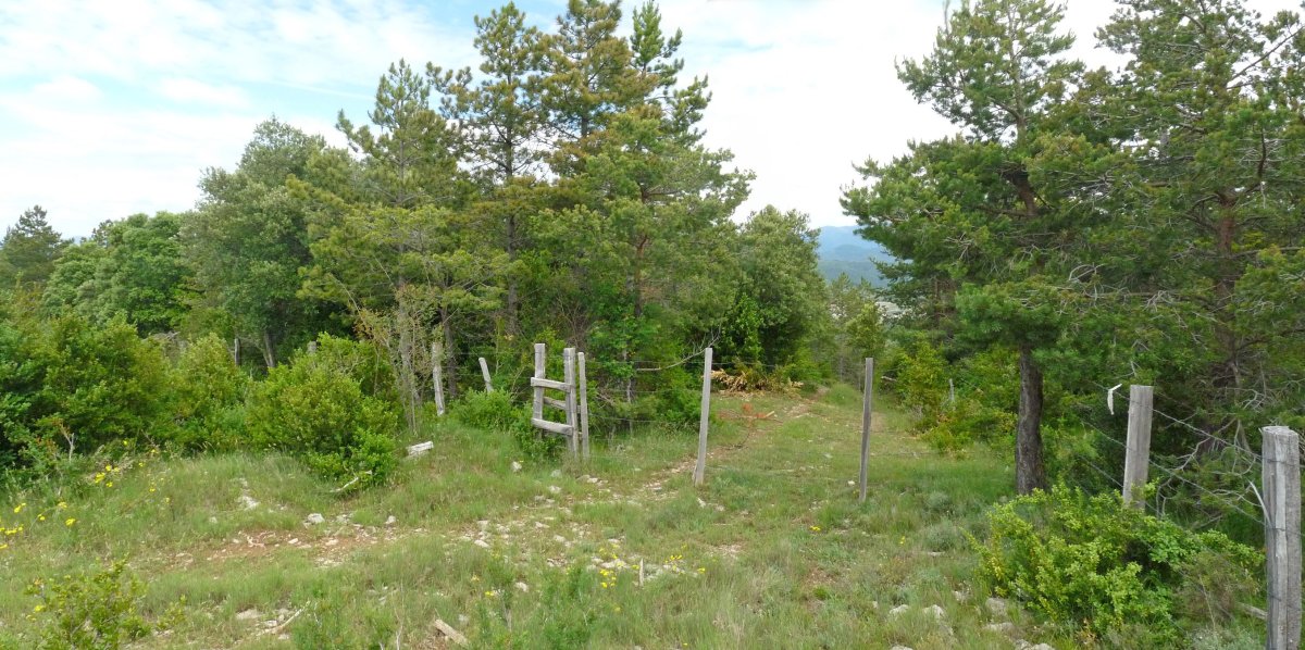 Ataka, Zabaltzako bidean