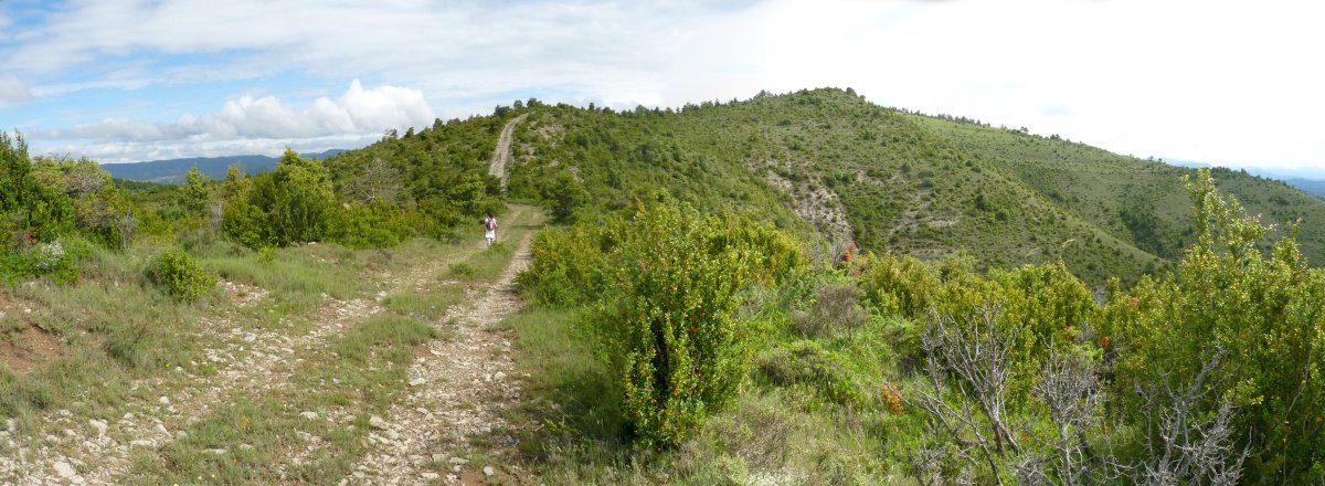 Hegoaldeko bidean gora