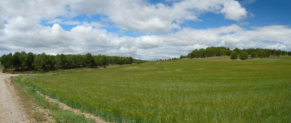 Soroak Cabras gainaren inguruan