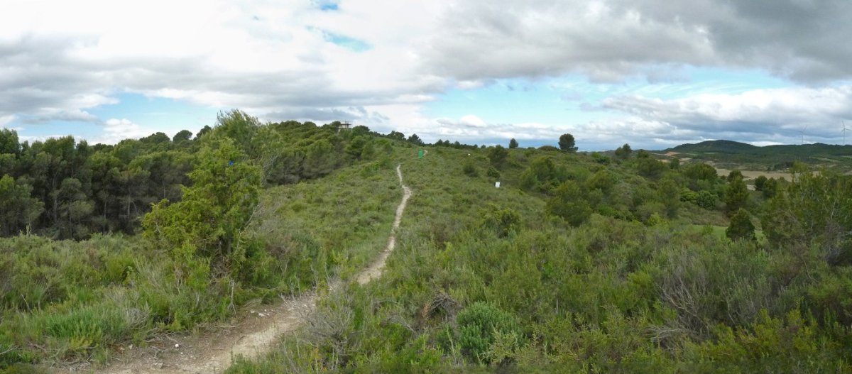 Beratxako gainaldean barrena doan bidea