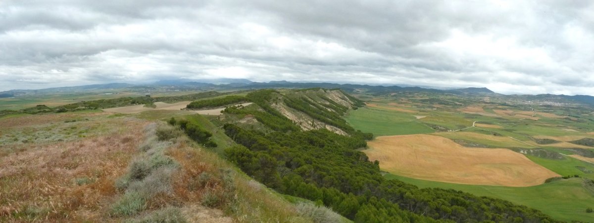 Ikuspegi zabala Kortabakoitzetik