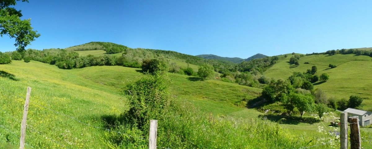 Euntzategiko gaina, Itsasoko bdetik