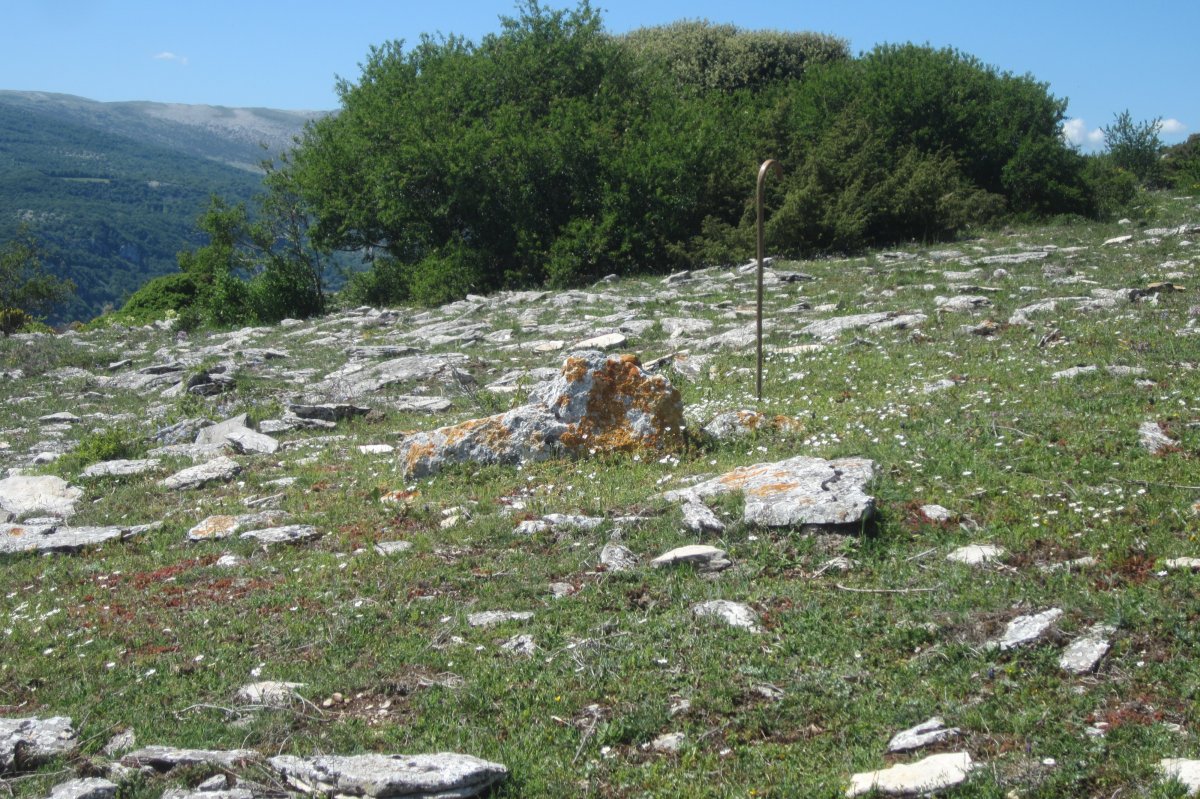 Dólmen Balsa Illarradi  (Mayo 2019)