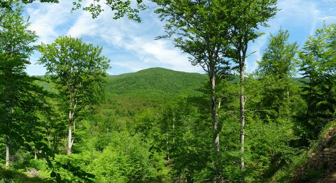 Altzaniako mendiak, Bakaikuko bidetik