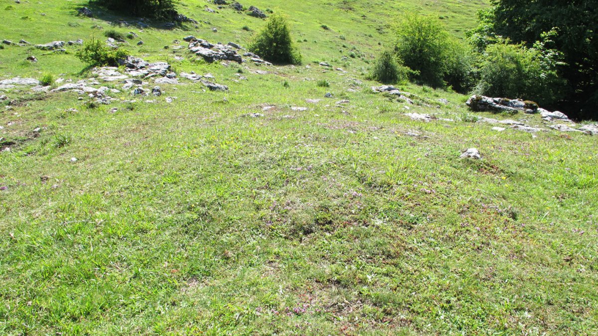 Iturmendiko Sare Zaharrak tumulua, Urbasa