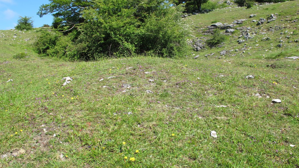 Iturmendiko Sare Zaharrak tumulua, Urbasa