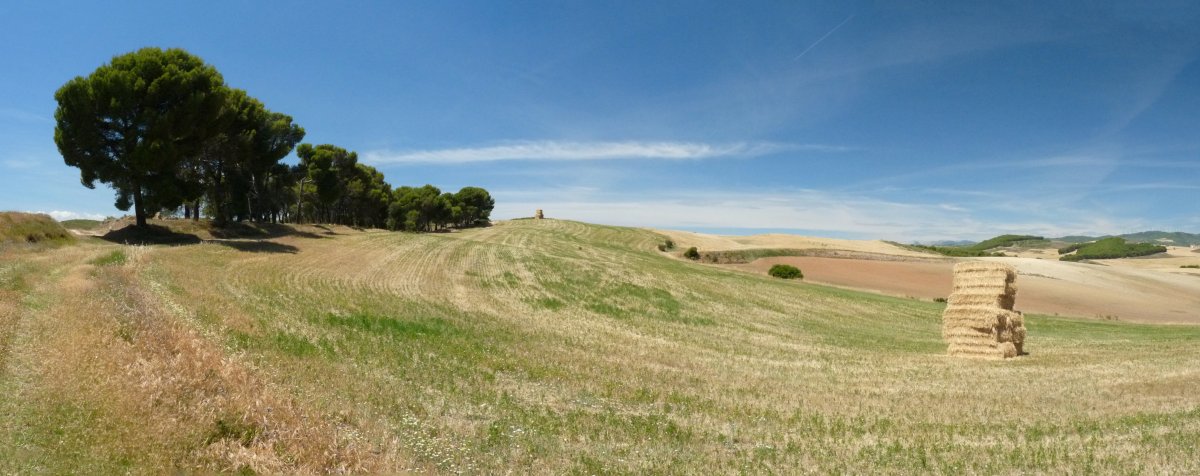 Galsoro zabalak El Buston