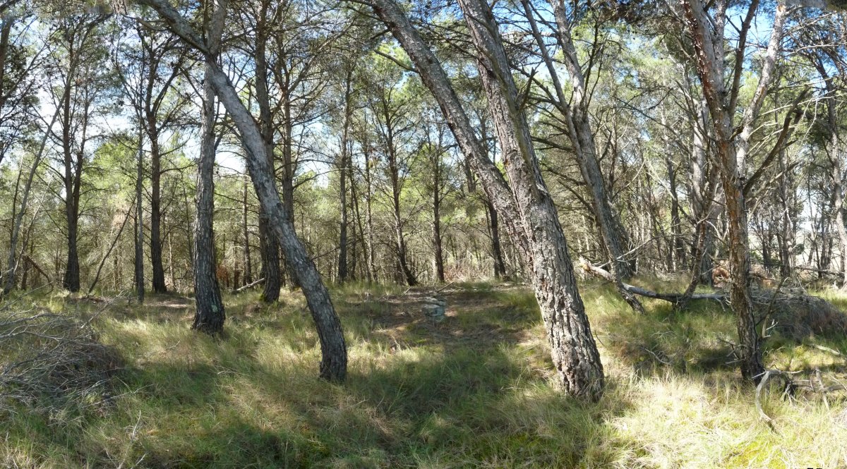 Somorrubioko gailurra