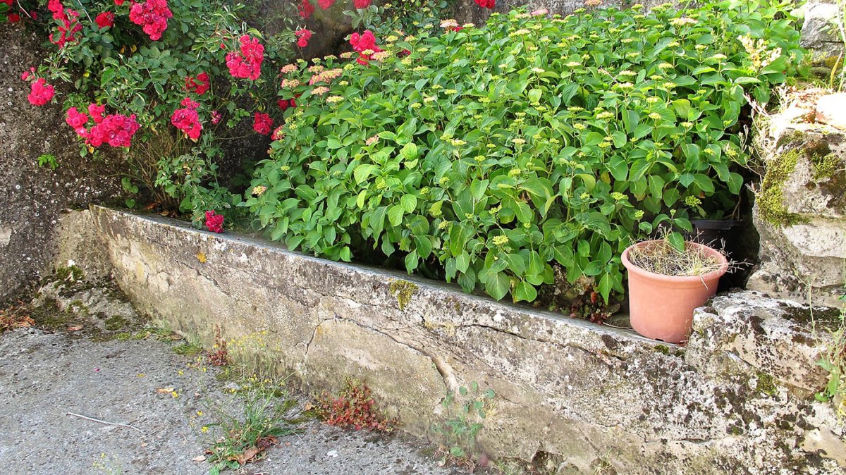 Garbitokia, Olano-Ultzama