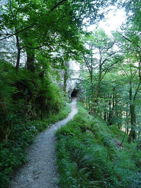 Tunel txikia Lizarrustiko bidean