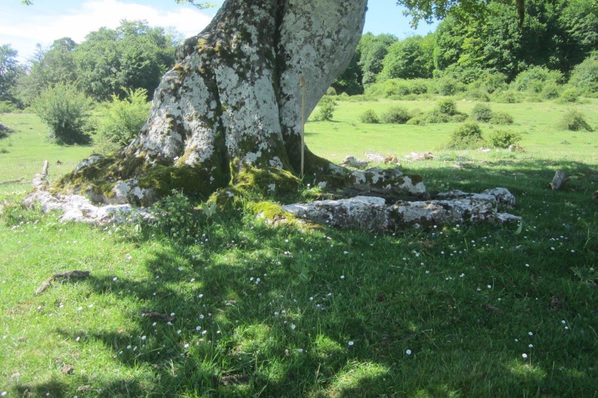 Monolito Legaire Oeste 6 (06-2019