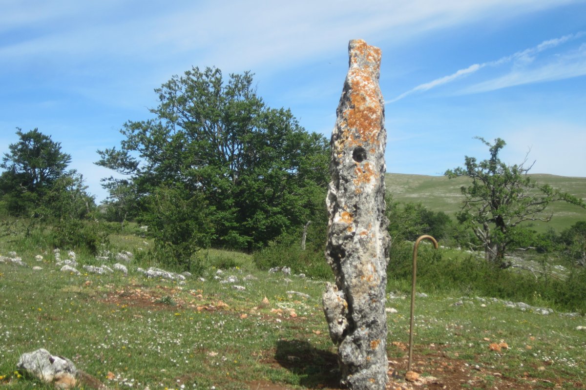 Menhir Mendiluze (Junio 2019)