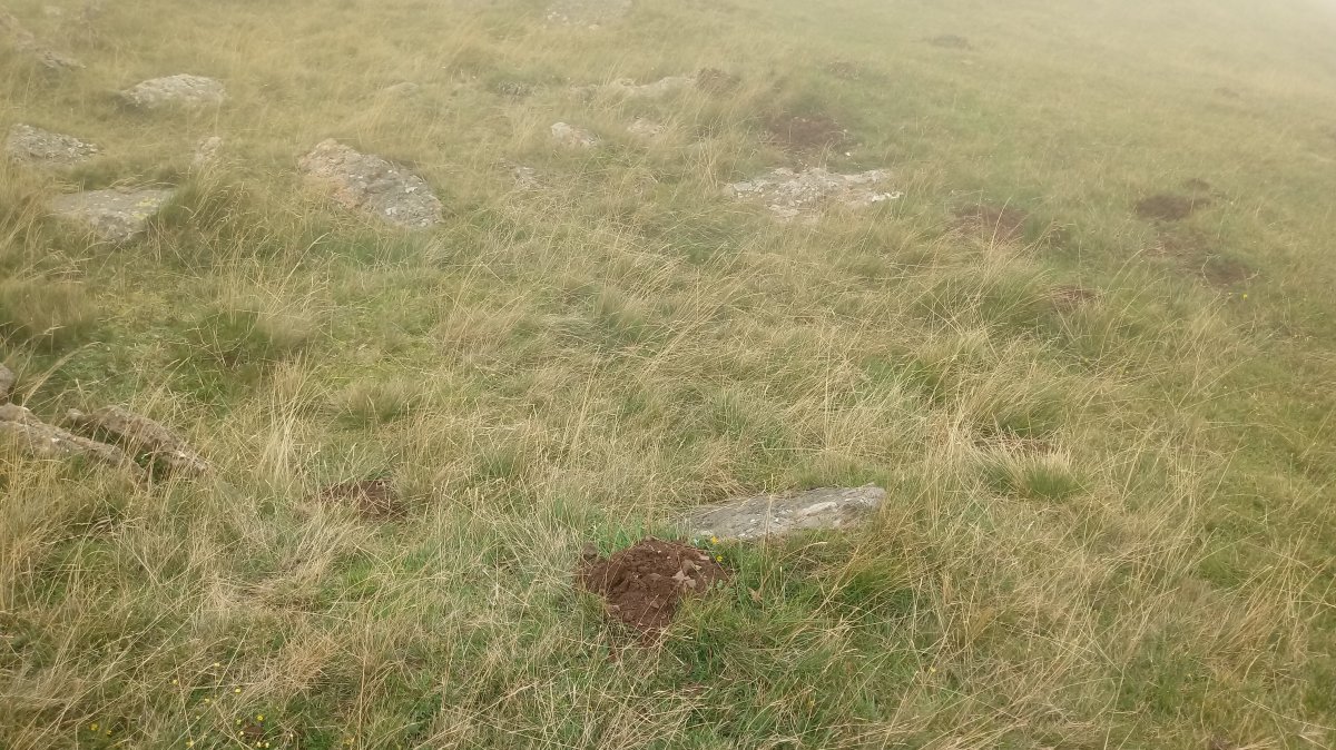 Errozateko harrespilak 3