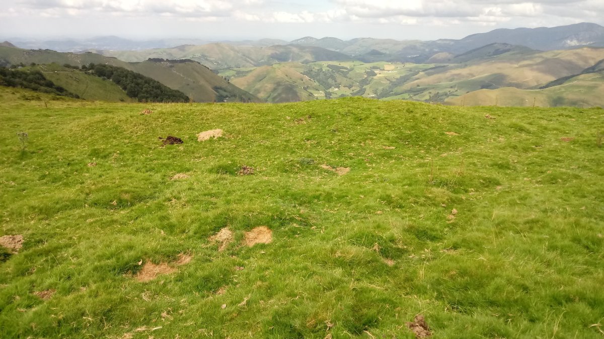 Iropile etxola-hondoak 4