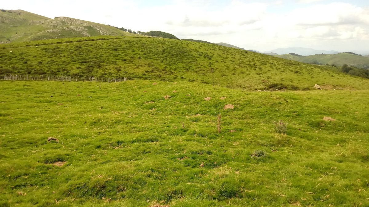 Iropile etxola-hondoak 3