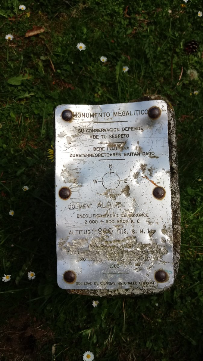 Albi trikuharria (2019)