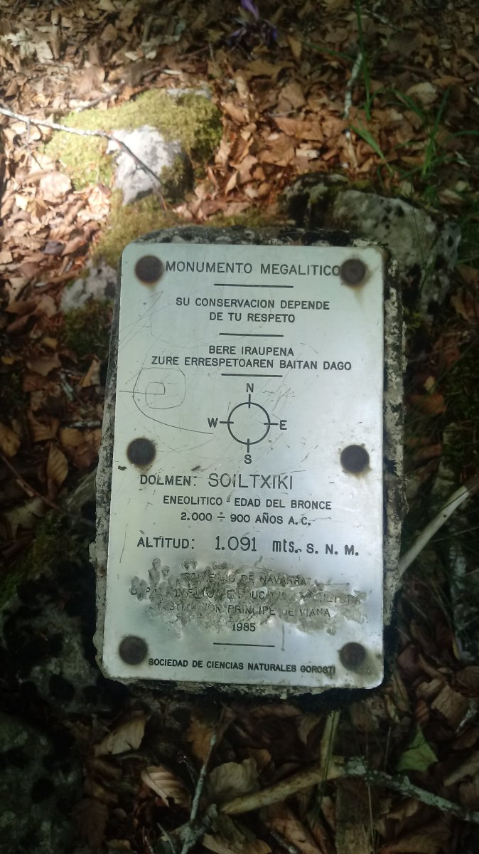 Soiltxiki trikuharria (2019)