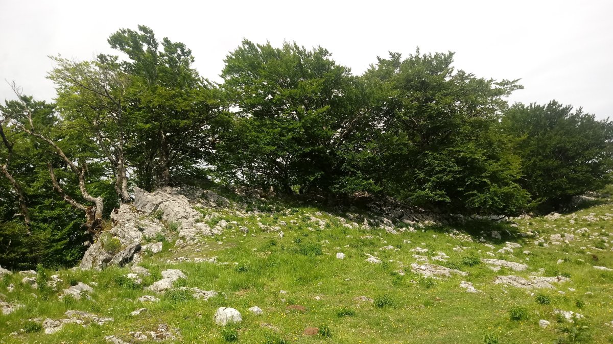 Aitzeta (927) tontorra