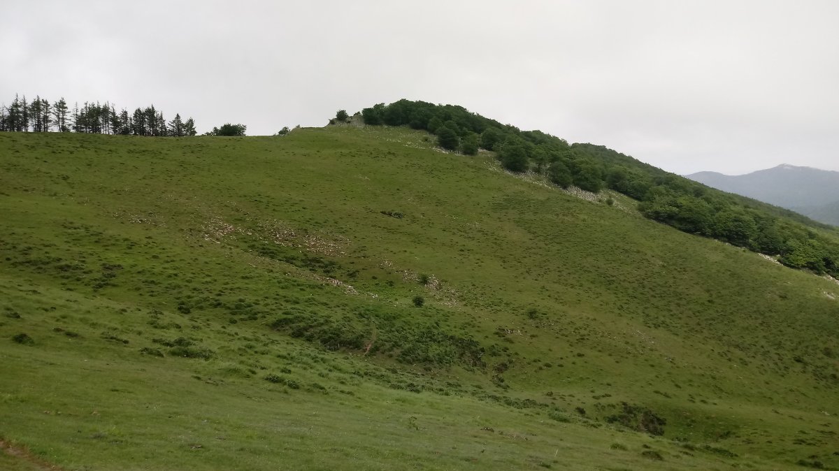 Sarastarri (995m) Elorretatik