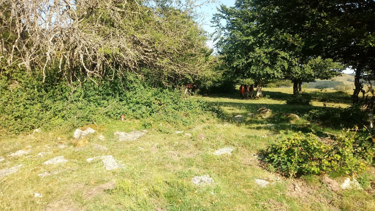 Lerdengibel (1222m) tontorra