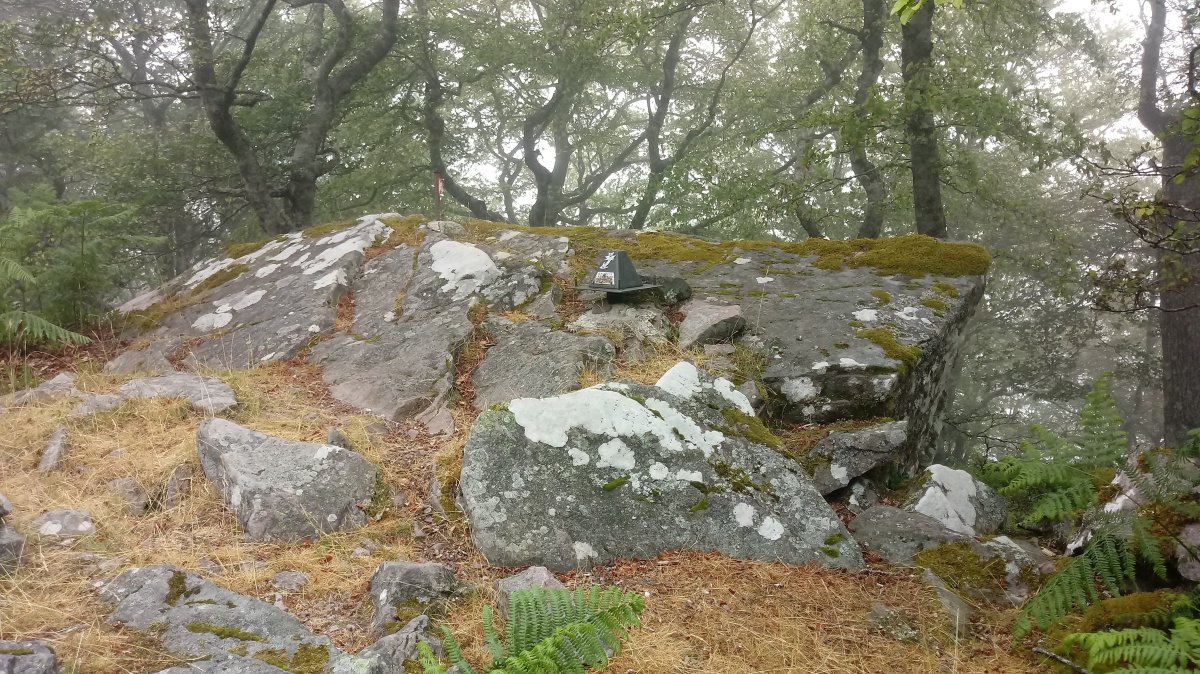 Burdingogi (1247m) tontorra