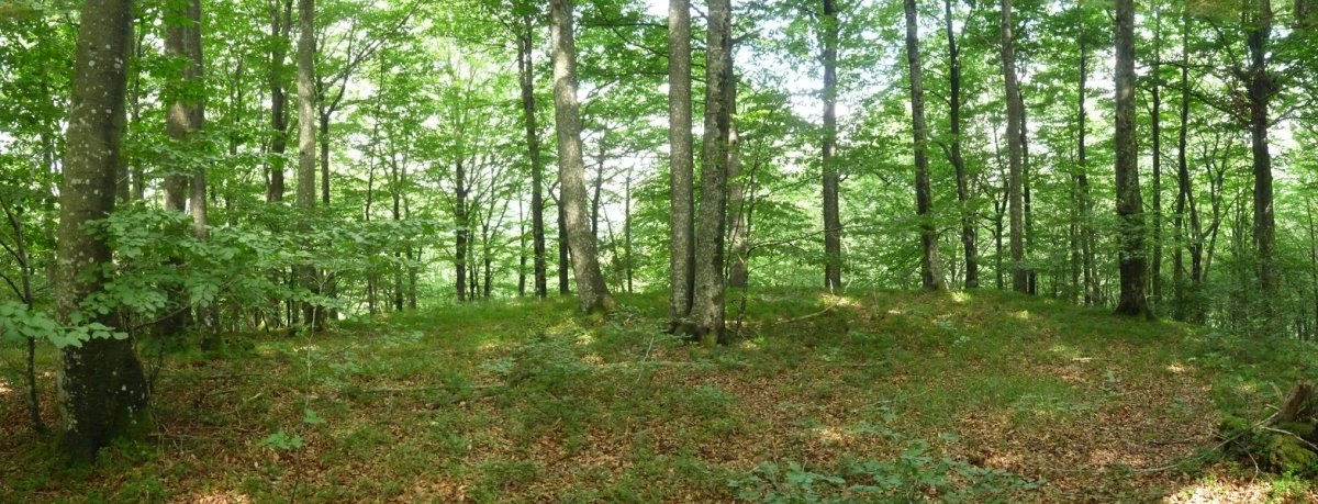 Marumendiko ipar gailurra