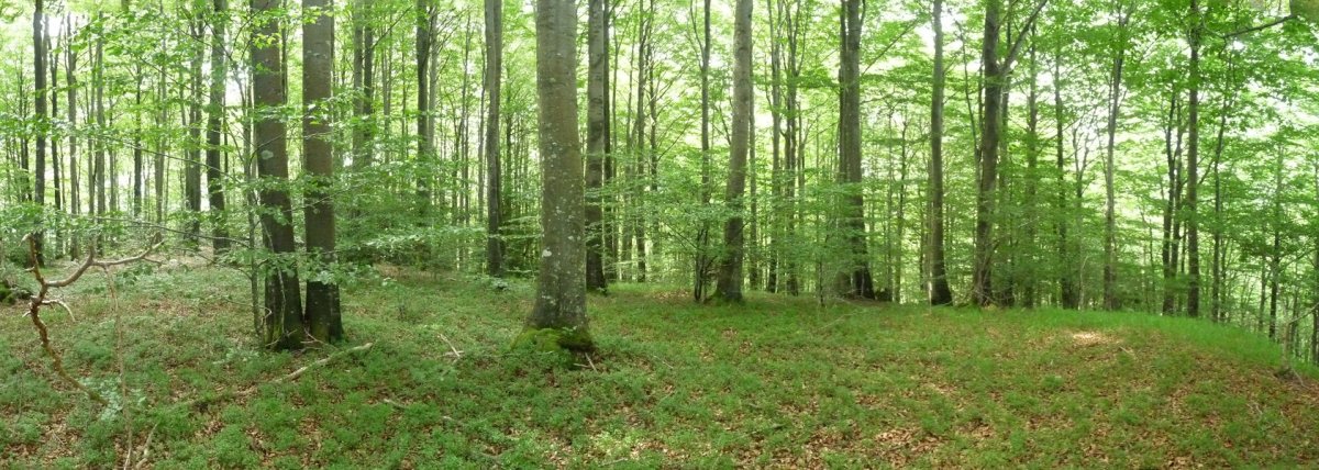 Marumendiko gailurra