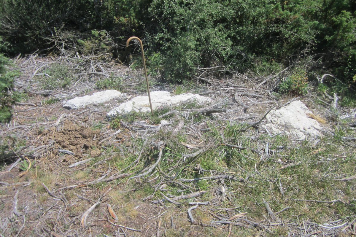 Dólmen Itaida III  (Julio 2019)