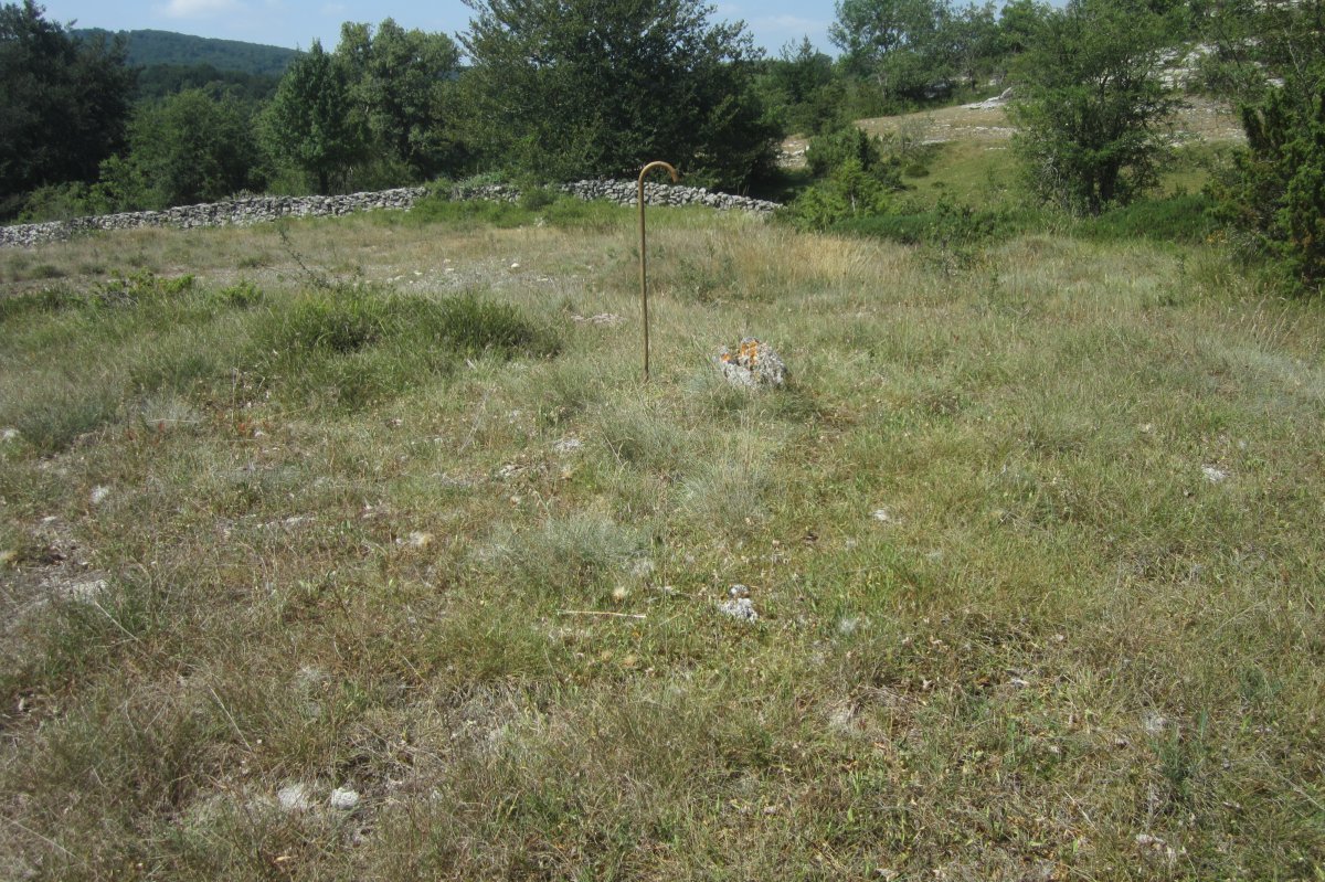 Dólmen Alto del Mojón  (Julio 2019)