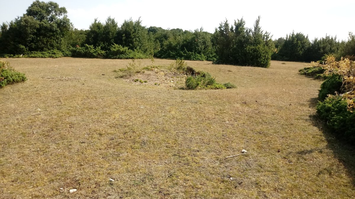 Sangris eraztun-tumuloa 2