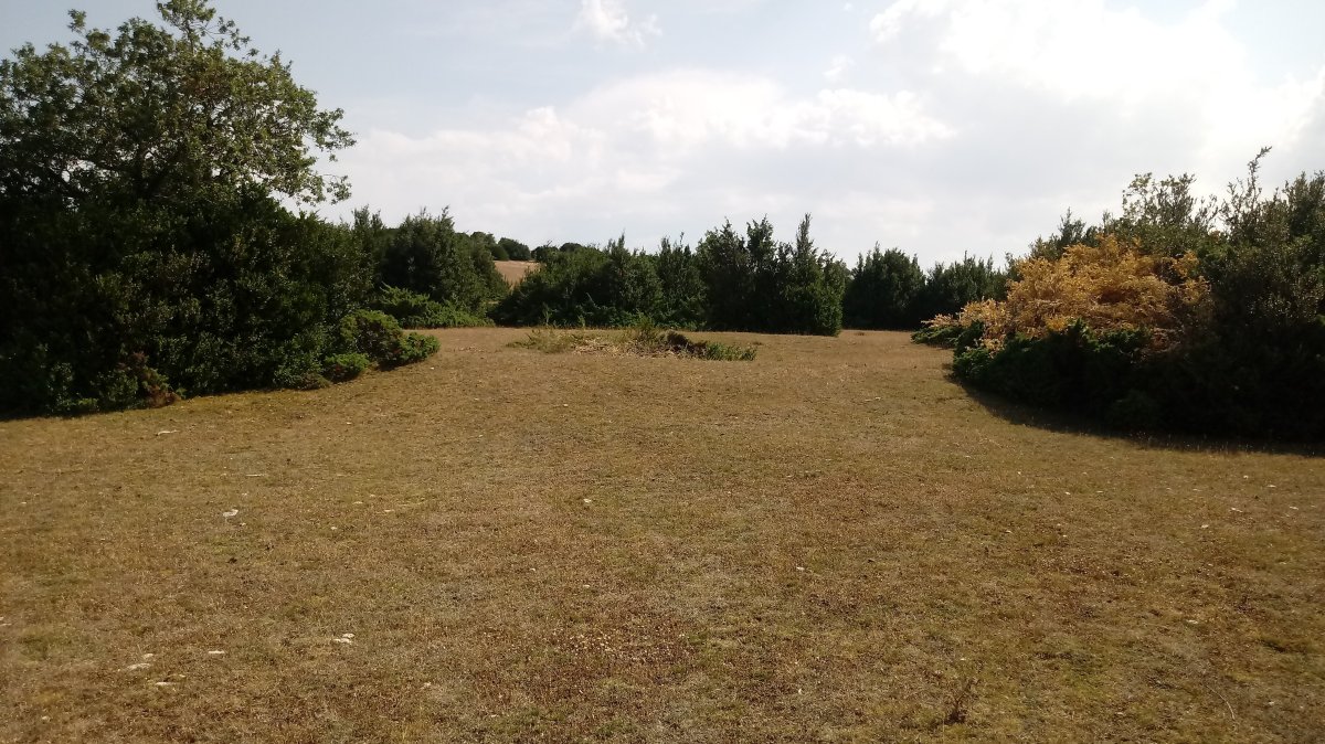 Sangris eraztun-tumuloa (2019)