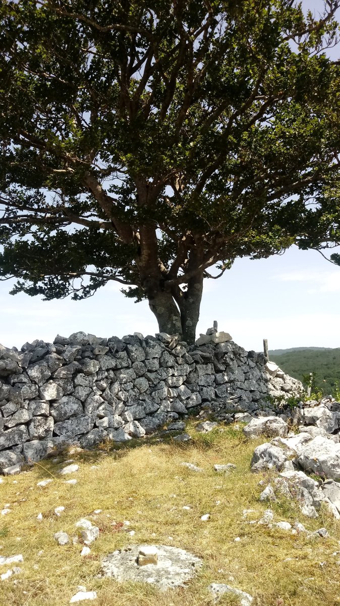 Bardoitza (1115m) tontorra Ameskoak aldetik