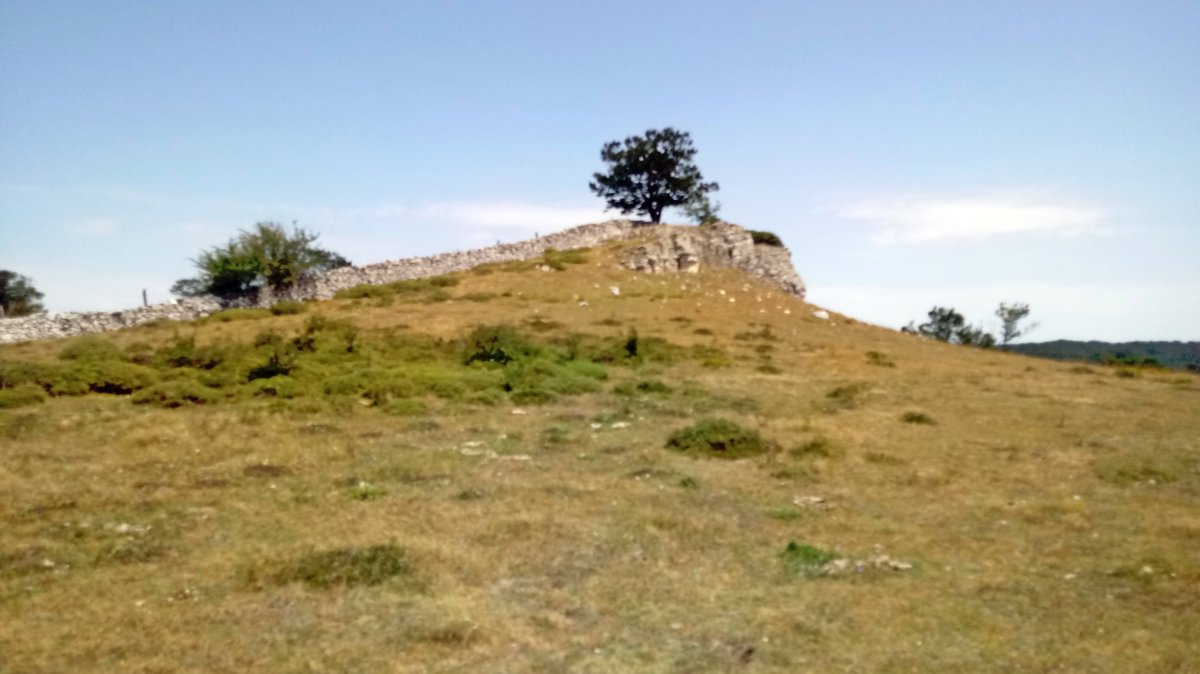 Bardoitza (1115m) gaina