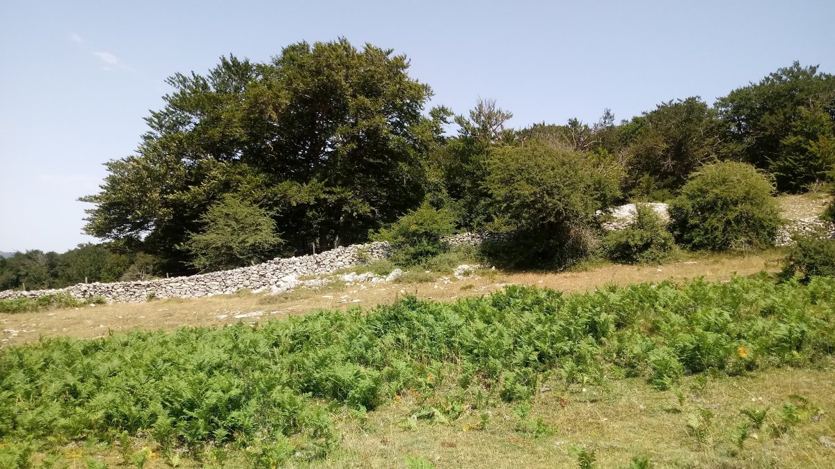 Bardoitza (1115m) igoeraren azken zatia