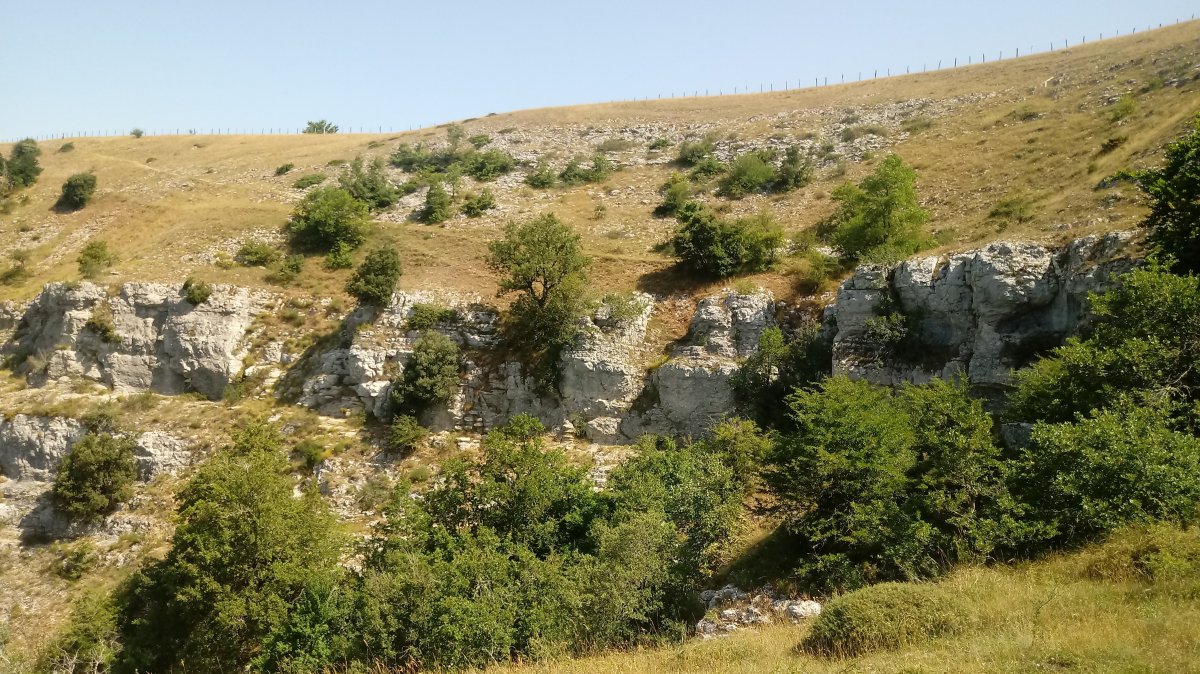 Bakedanoko Portuzargaina