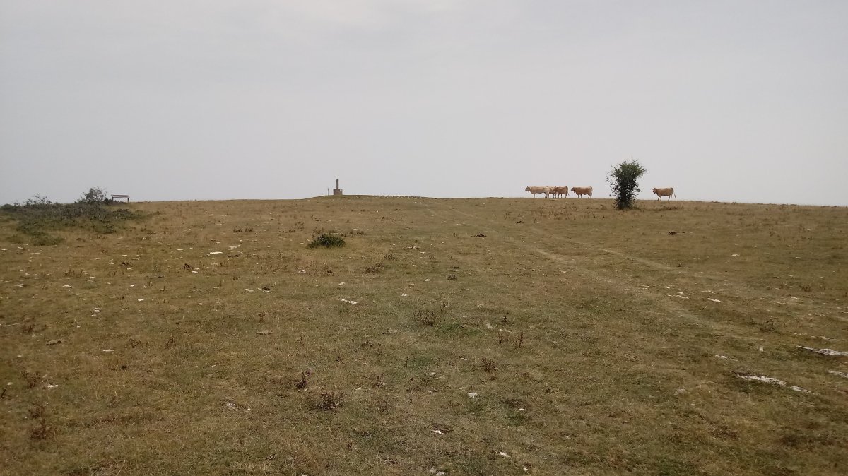 Larregoiko (1019m) gainaldea