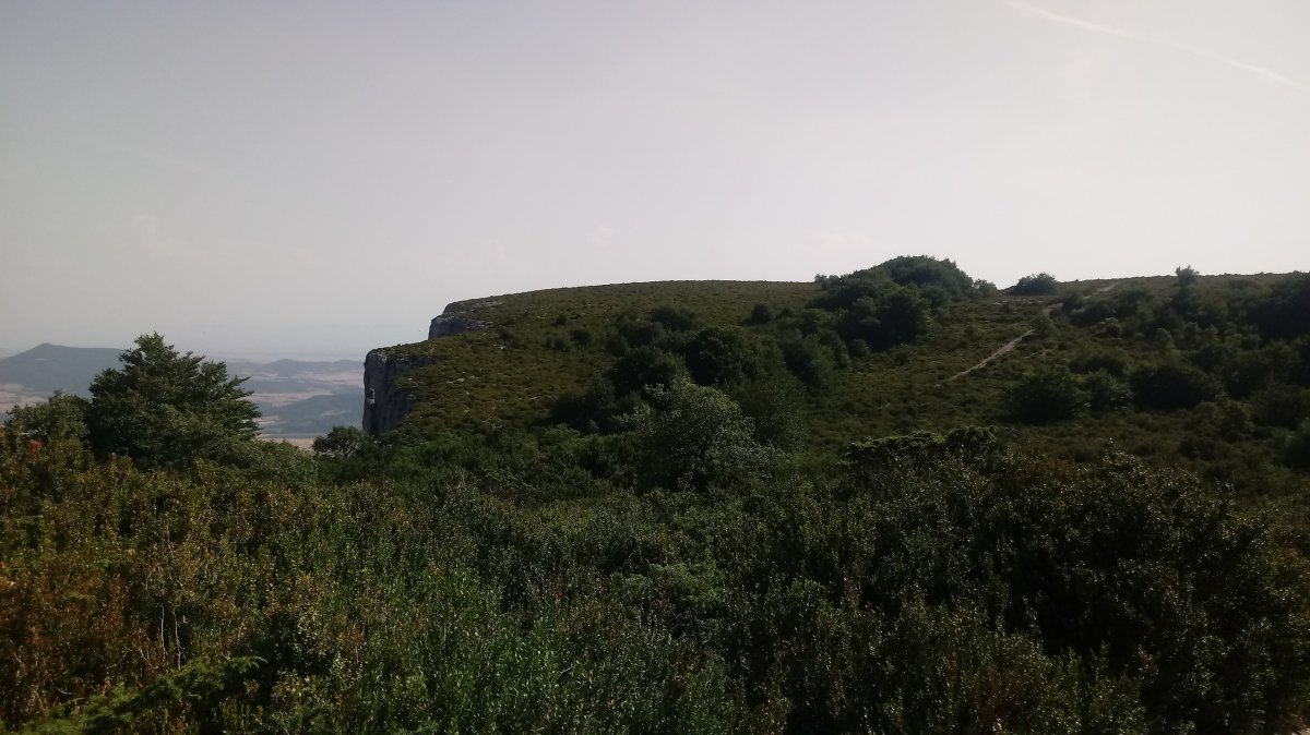 Sartzaleta (1109m) gainaldea